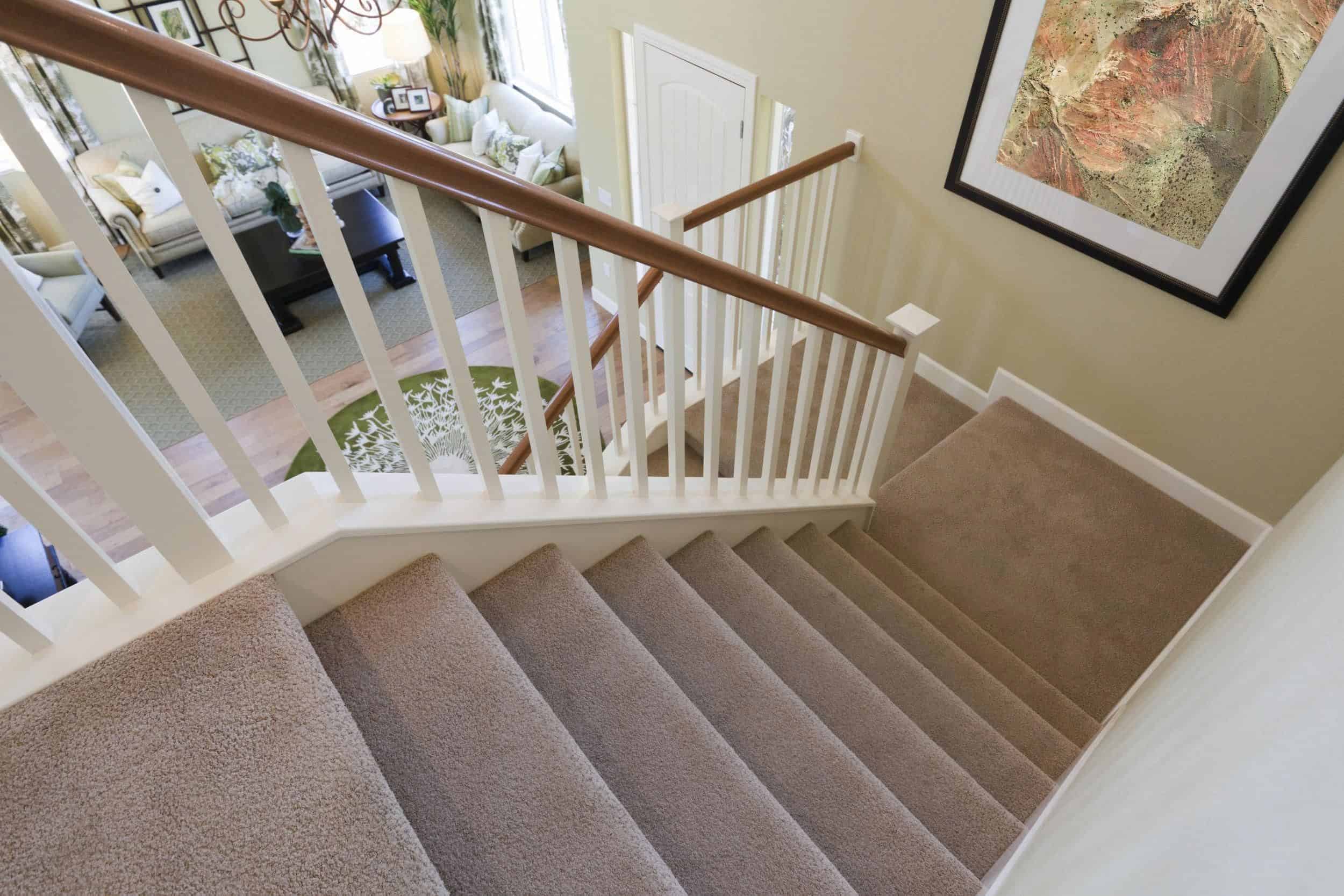 carpet-in-stairs-2880067