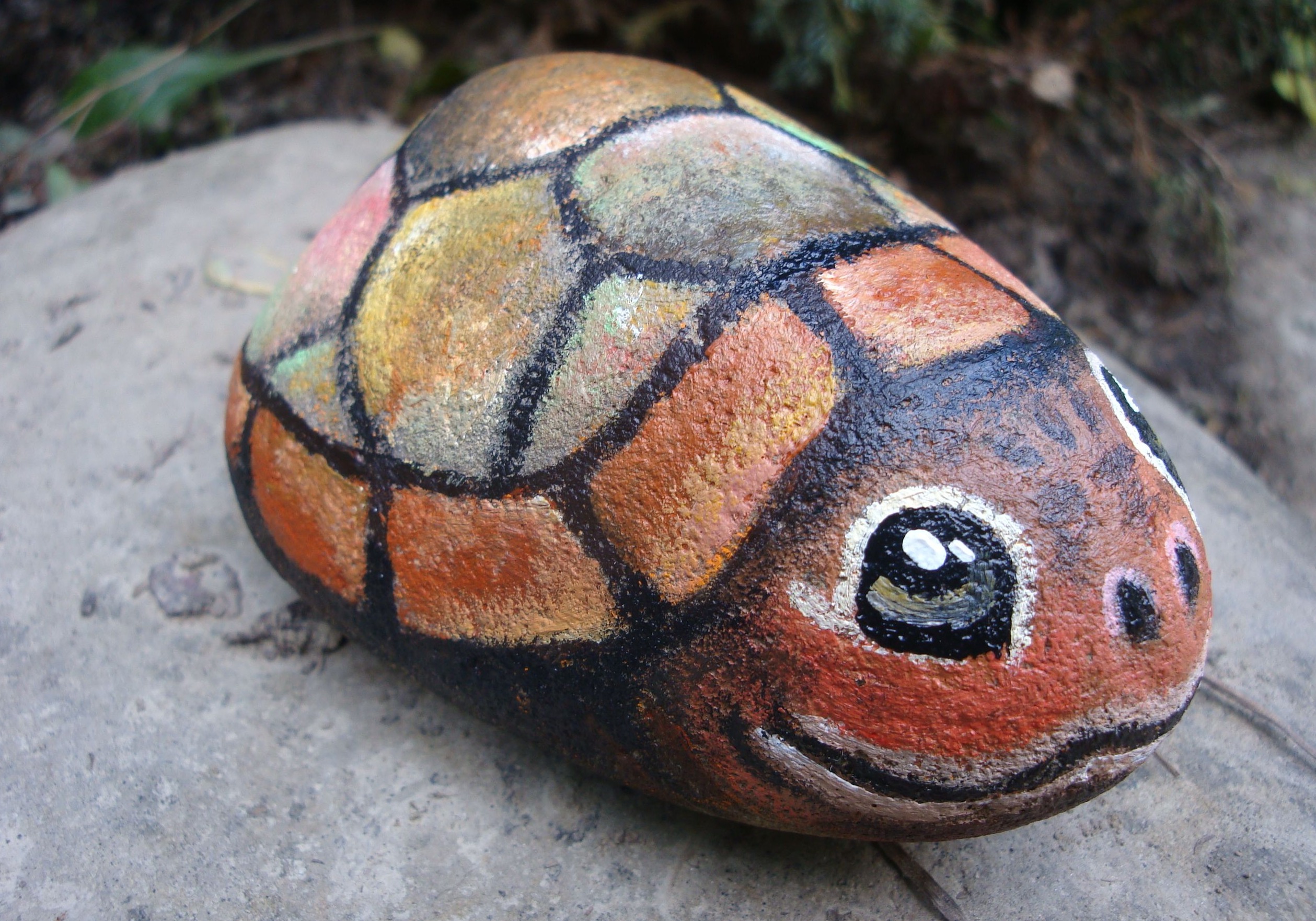 Amazing turtle rock painting