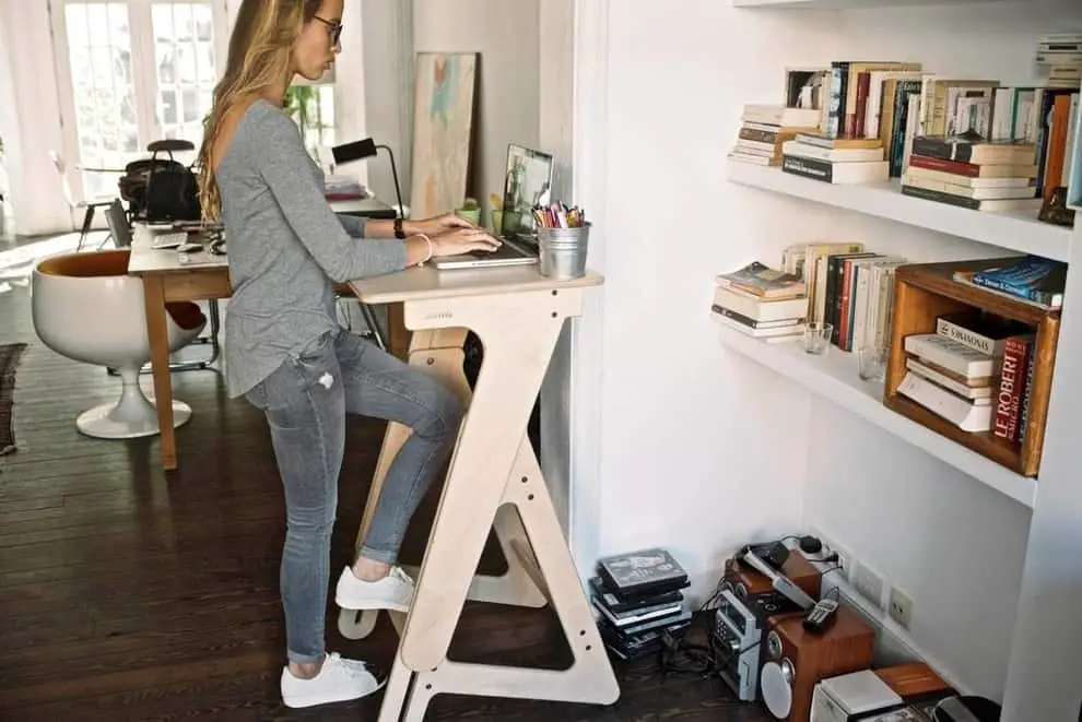 Adjustable Standing Cardboard Desk