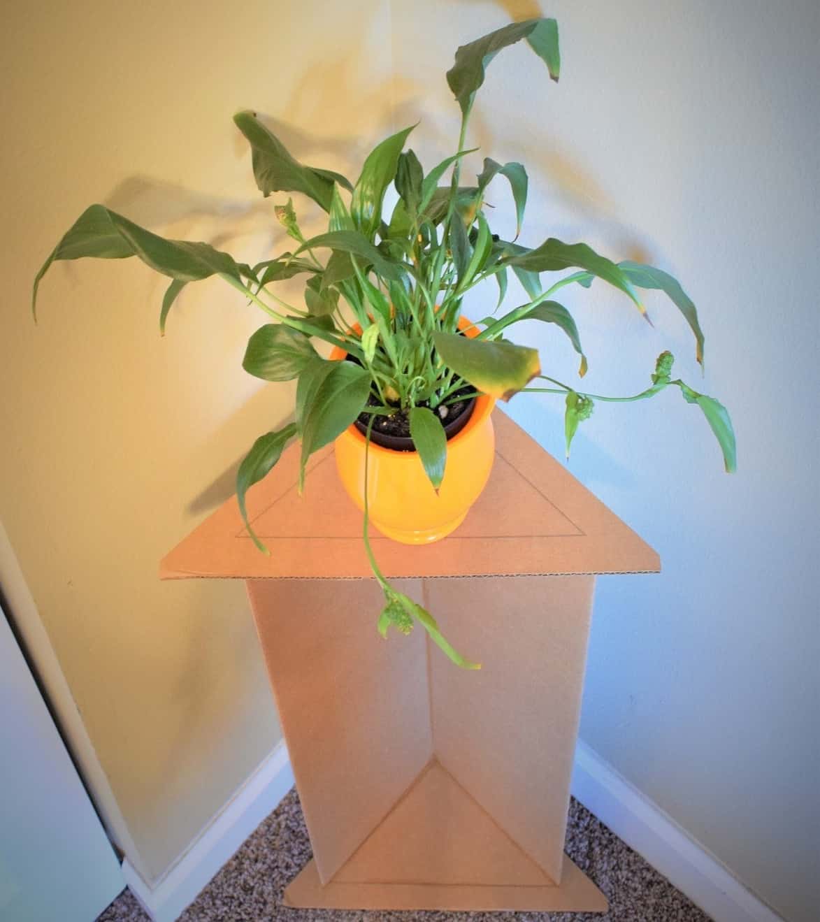 DIY Cardboard Plant Stand