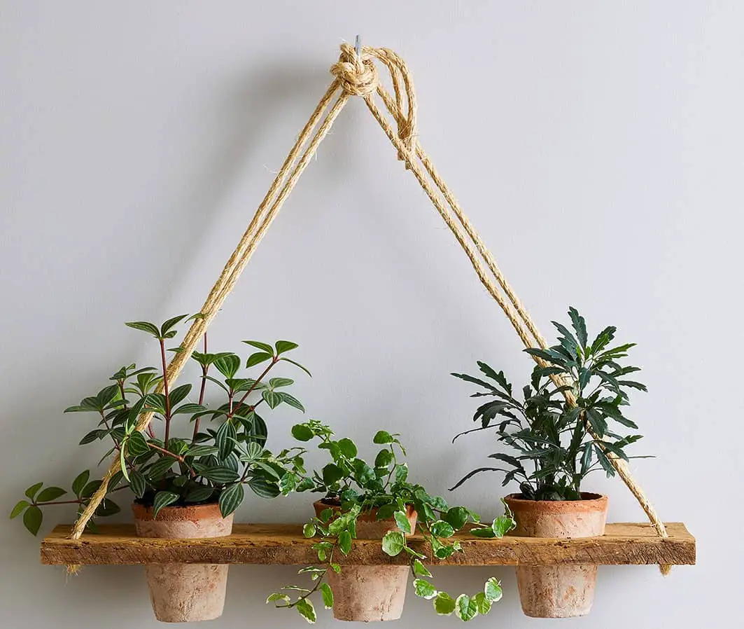 DIY Rope Corner Plant Shelf