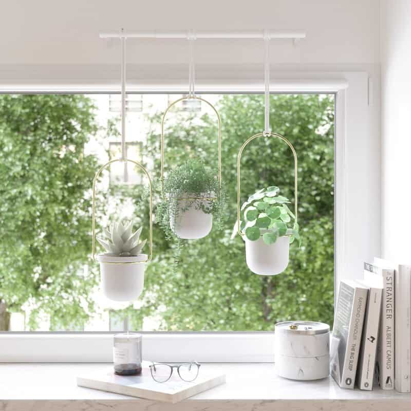 DIY Hanging Planter Upgrade