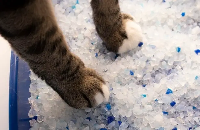 DIY Dehumidifier With Silica-based kitty litter