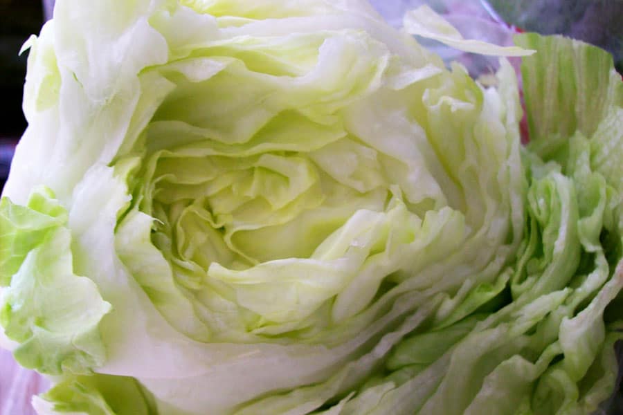 Things to consider when freezing lettuce