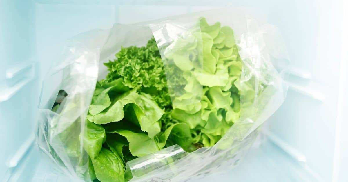 Use a bag to freeze your lettuce