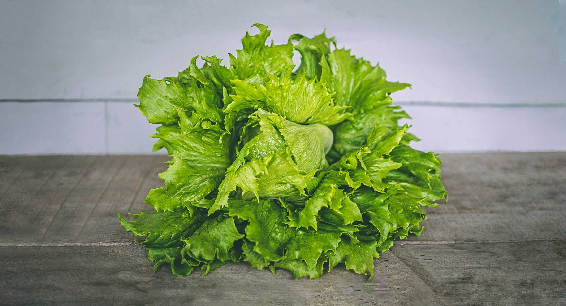 What Types Of Lettuce Will Be Best To Freeze