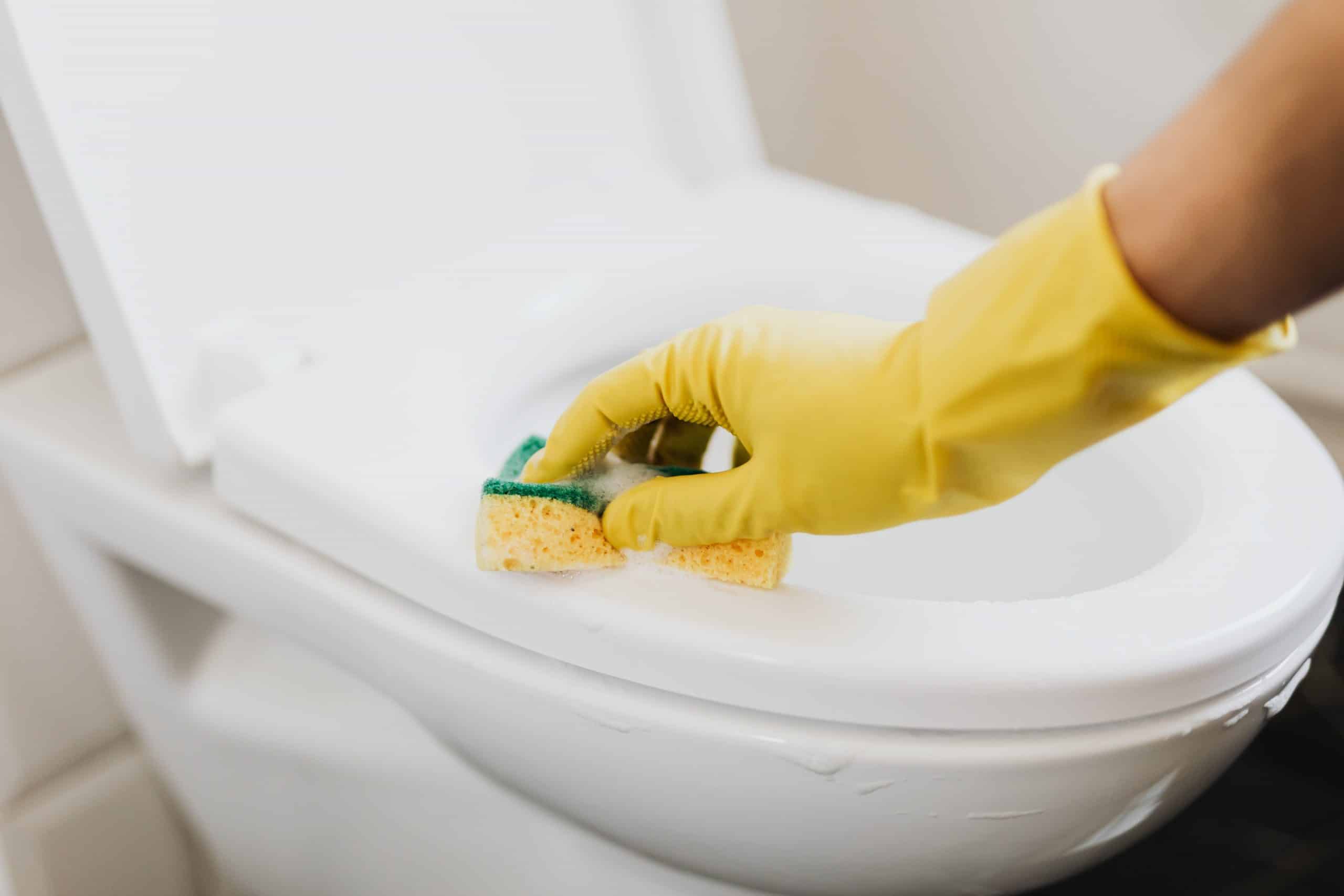 How to Get Rid of Toilet Ring