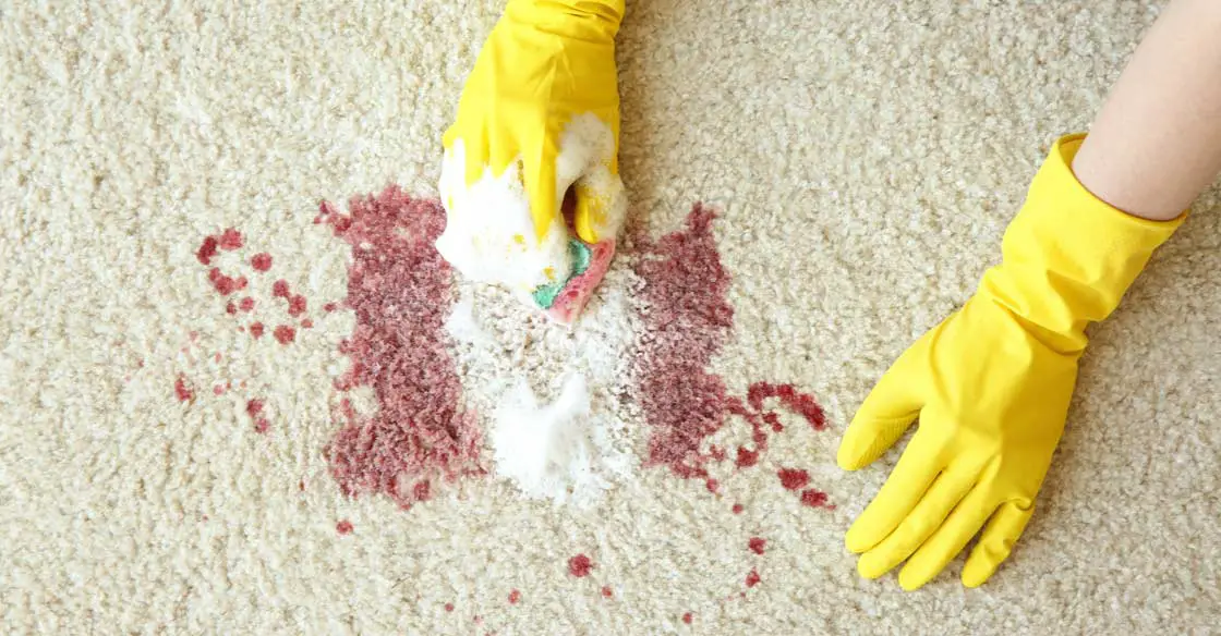 how to Remove Blood From Carpet