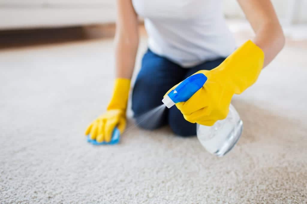 Points to consider when you want to Remove Blood From Carpet