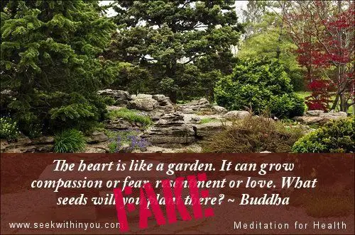 What does love is a garden mean